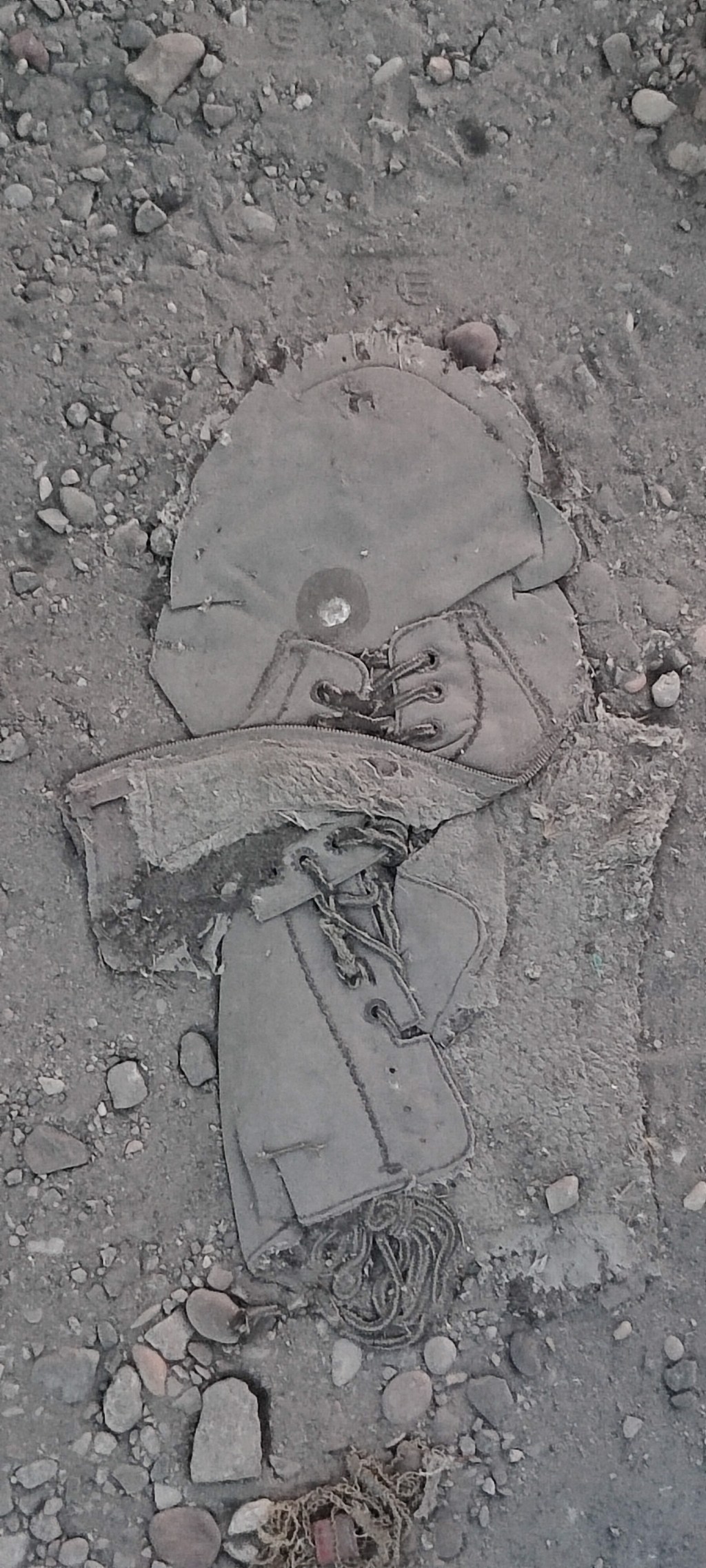 La variedad del cuento literario español a finales del siglo&nbsp;XX