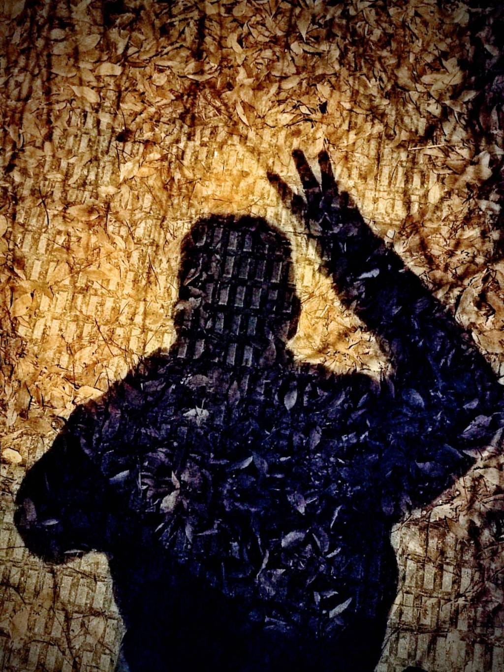 Yo no vengo a decir un discurso