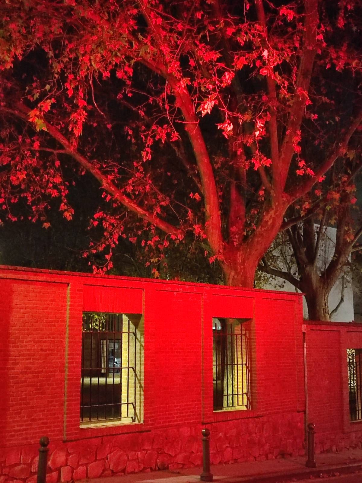 Mi país y otros poemas