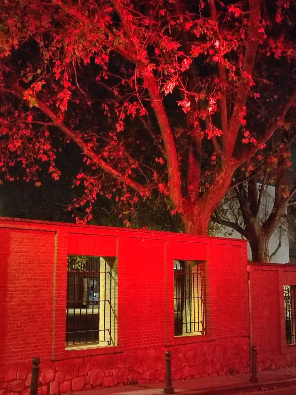 Mi país y otros poemas