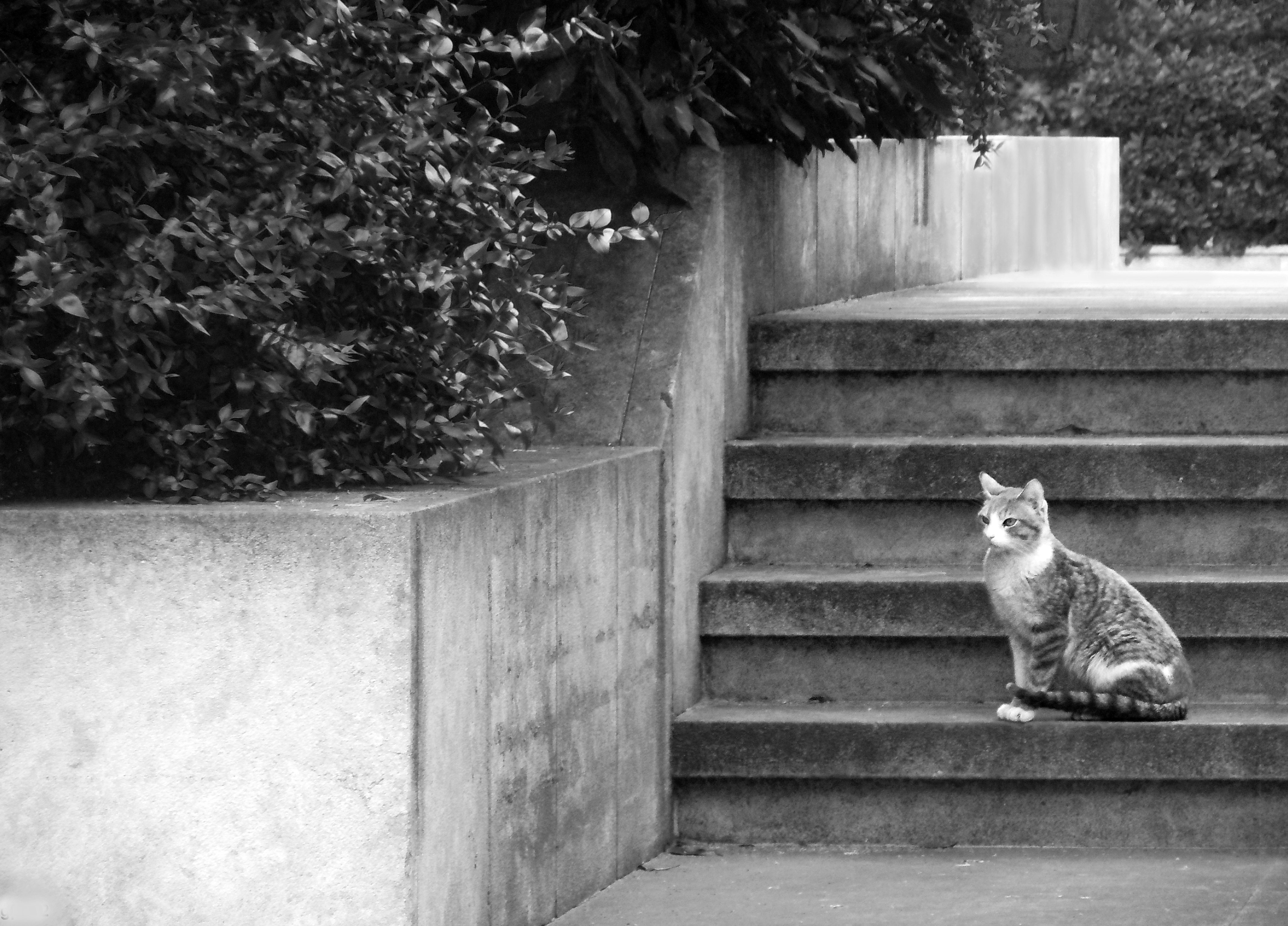 Atraza una escalera